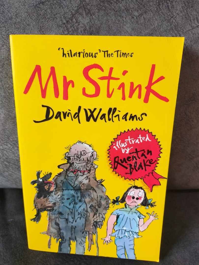 David Walliams Mr Stink Kit Child Brown