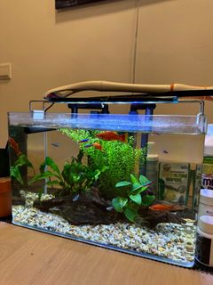 (Category: ) located in . Submitted by kcdiong89 (Listing ID 1246500915, Image 1). Description: .