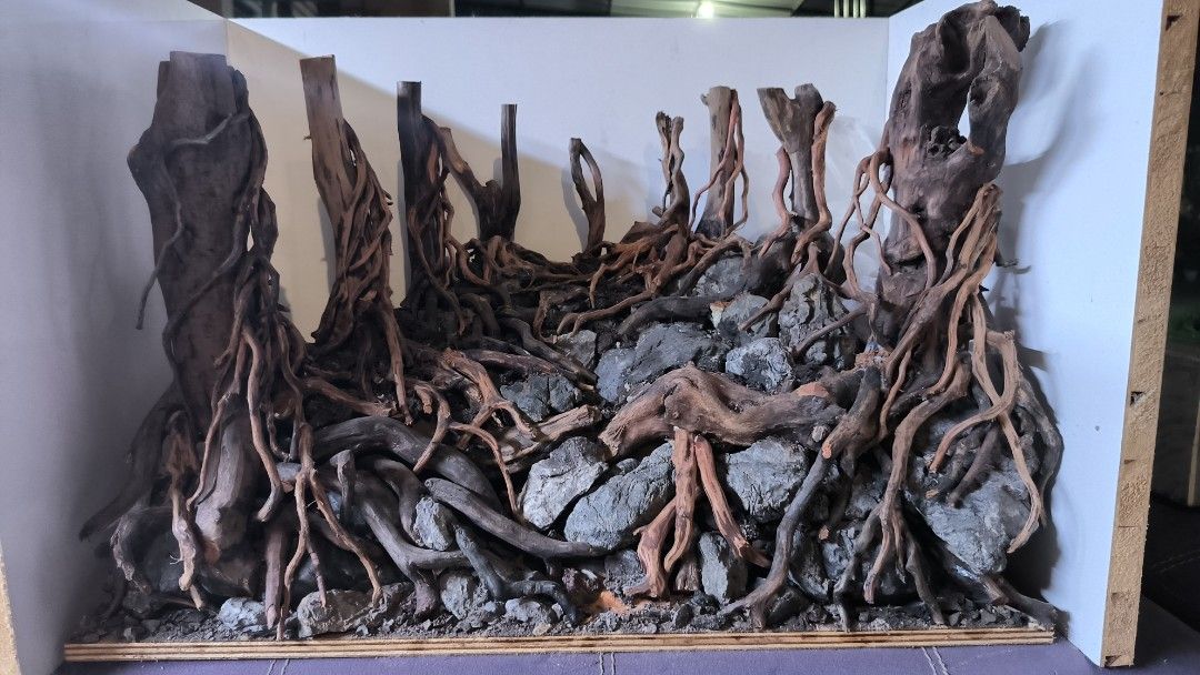 Konsep Hardscape Penempatan Batu Dan Kayu Apung