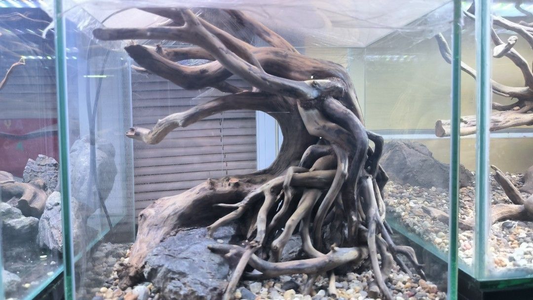 Penataan Hardscape (Batu & Kayu) untuk Menciptakan Keindahan Alami