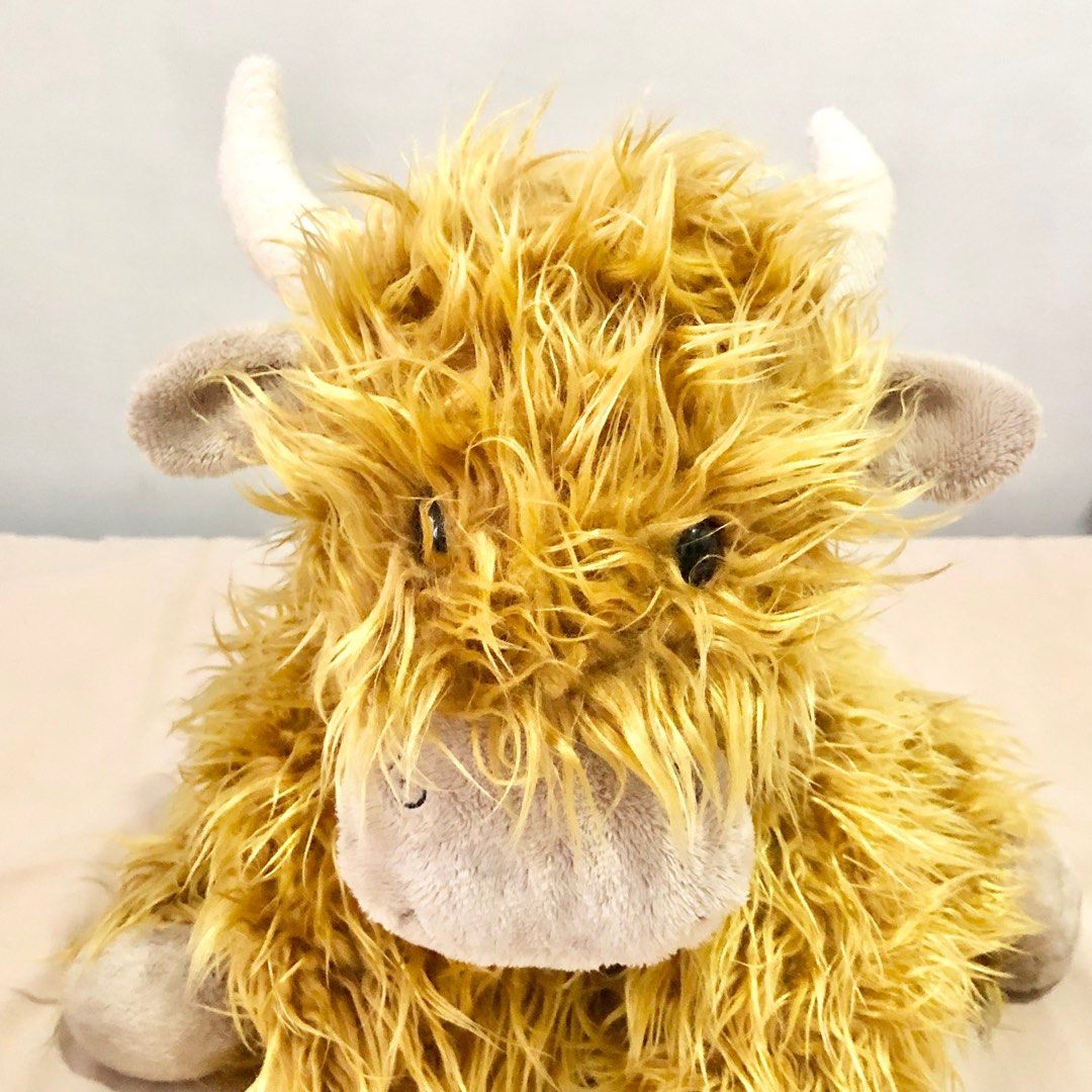 RARE Jellycat Truffles Highland Cow Medium, Hobbies & Toys, Toys