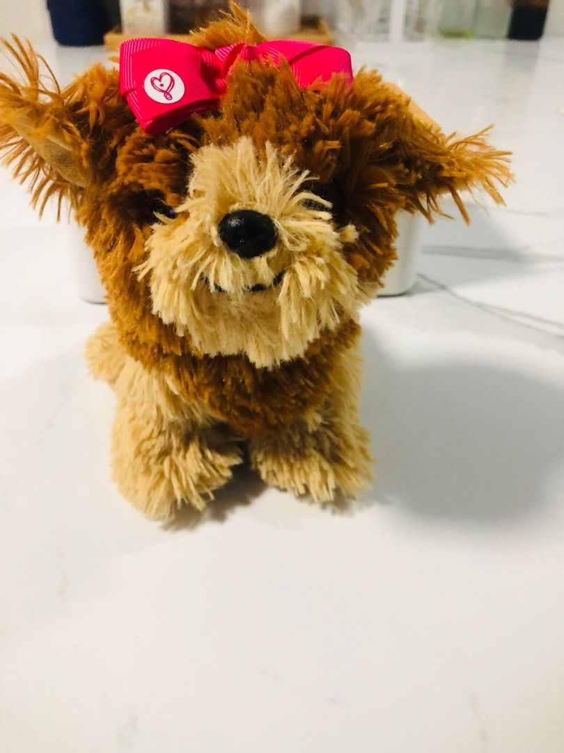 Jojo siwa doll and dog new arrivals