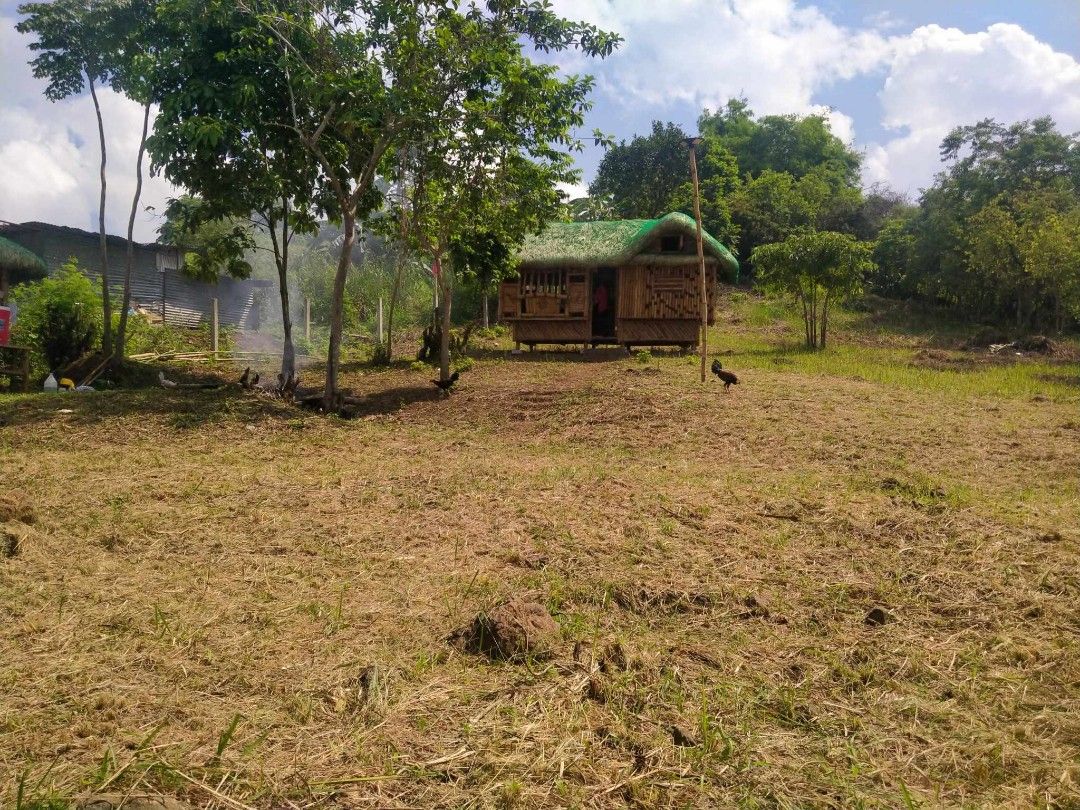 Lot for sale in morong rizal, Property, For Sale, Lot on Carousell