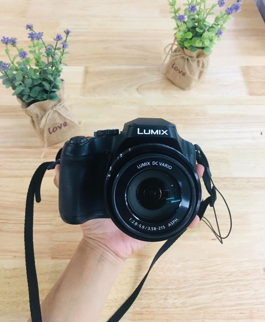 LUMIX® Digital Camera DCFZ80, Photography, Cameras on Carousell