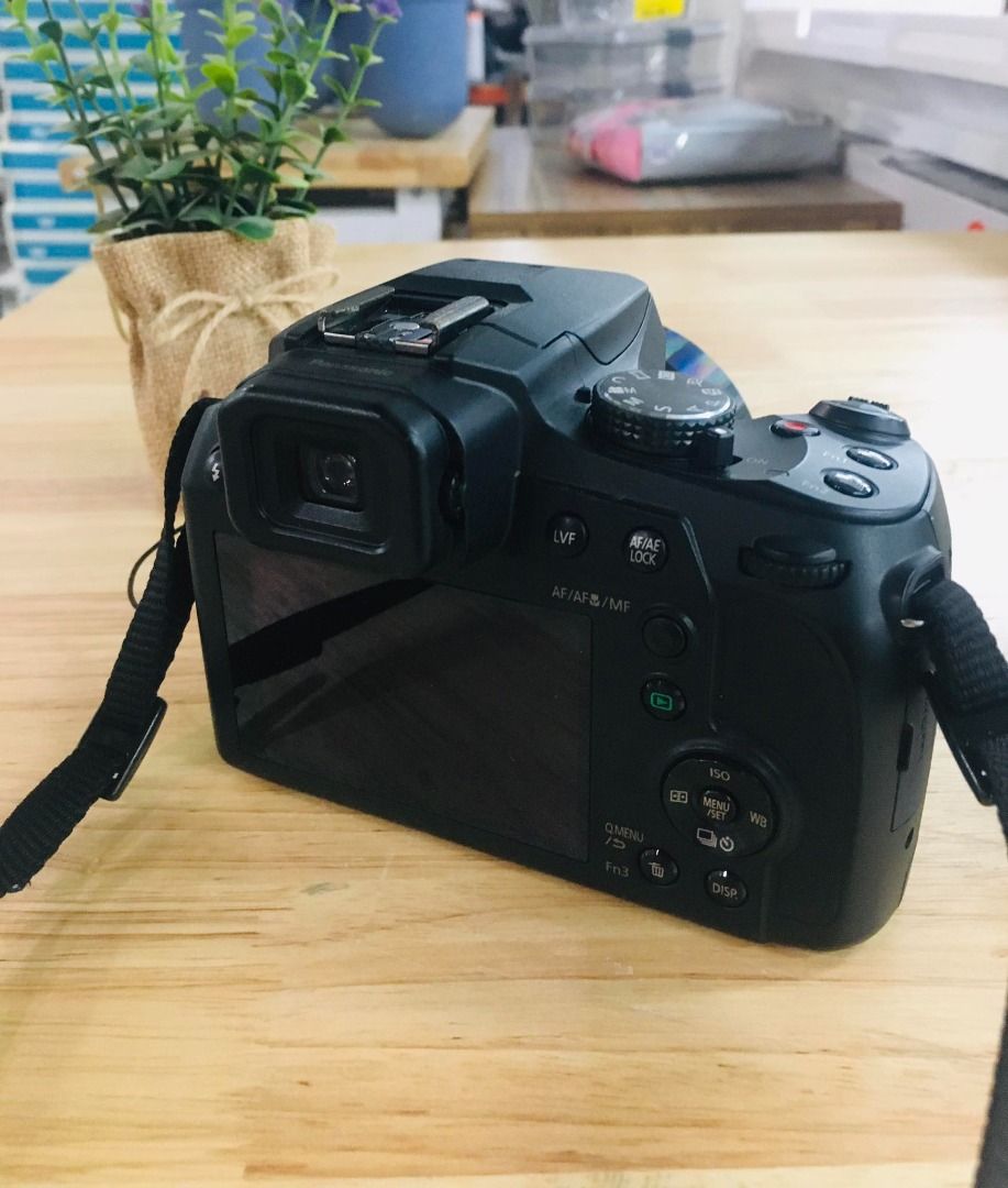 LUMIX® Digital Camera DCFZ80, Photography, Cameras on Carousell