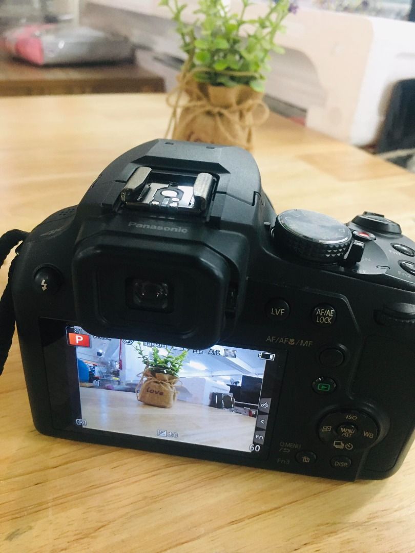 LUMIX® Digital Camera DCFZ80, Photography, Cameras on Carousell