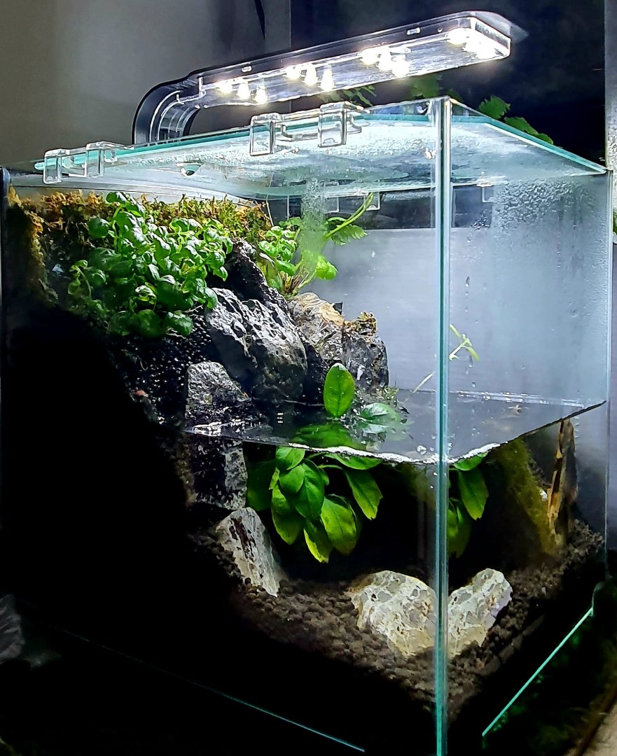 Paludarium Waterfall, Pet Supplies, Homes & Other Pet Accessories on ...