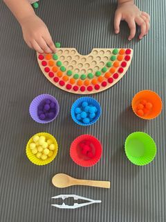 Rainbow Color Sorting Board Montessori