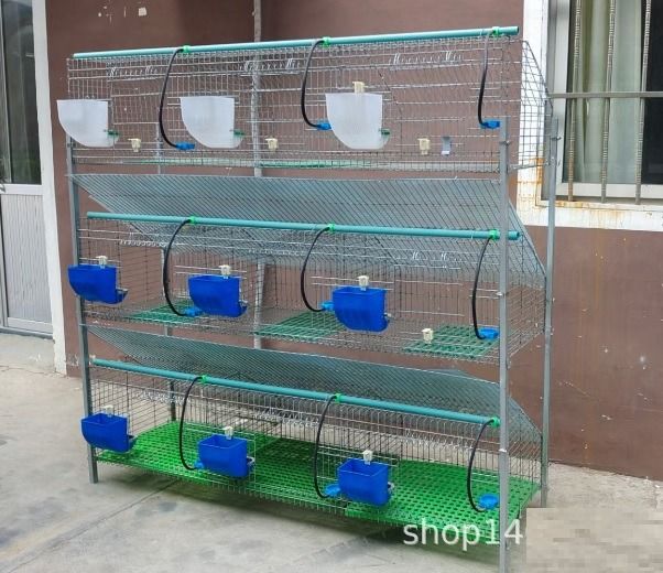Commercial rabbit store cage design