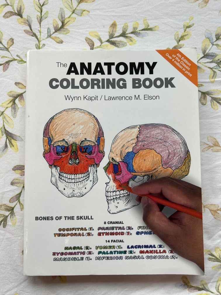 The Anatomy Coloring Book, 4th Edition, Hobbies & Toys, Books & Magazines, Textbooks on Carousell