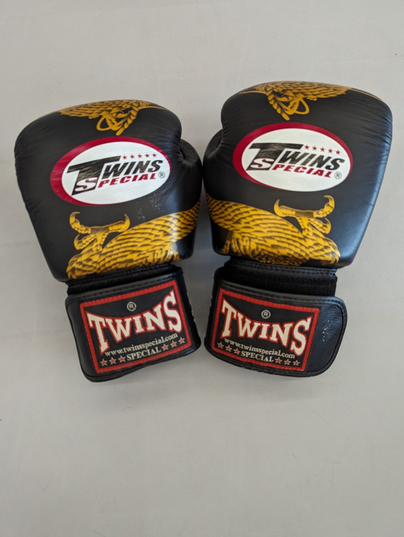 Twins 12oz Boxing Gloves (Dragon Black Gold), Sports Equipment, Other ...