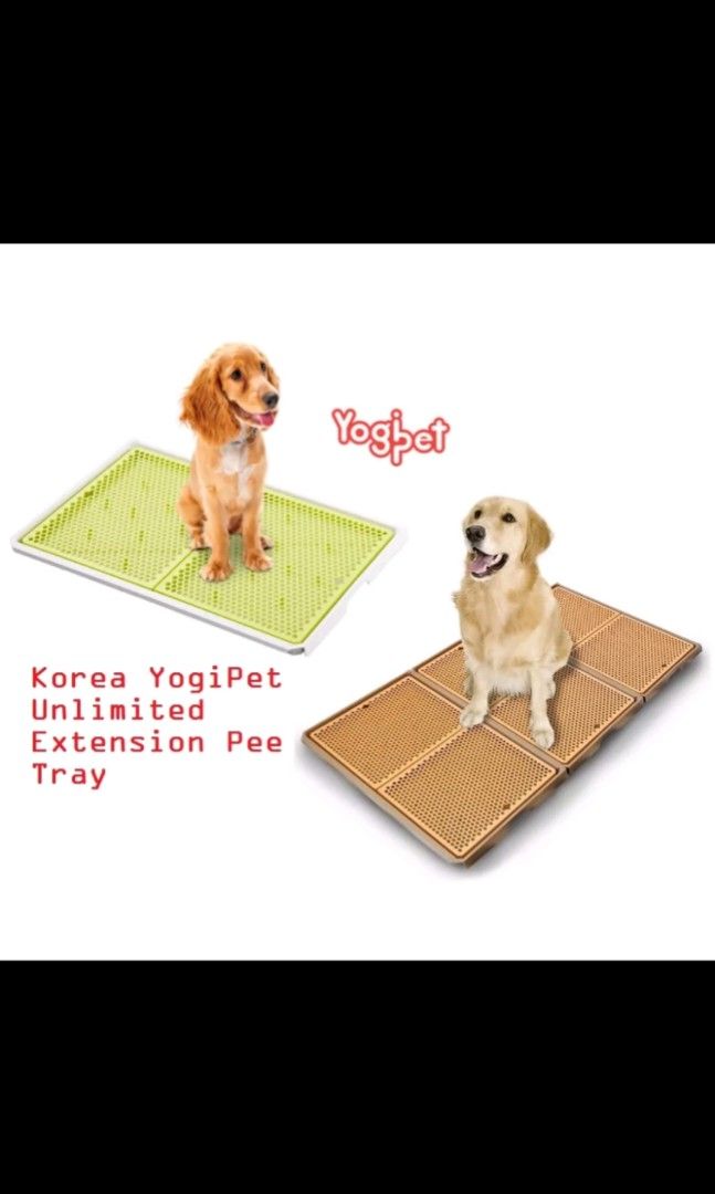 Yogi Pee Tray Pet Supplies Homes Other Pet Accessories on