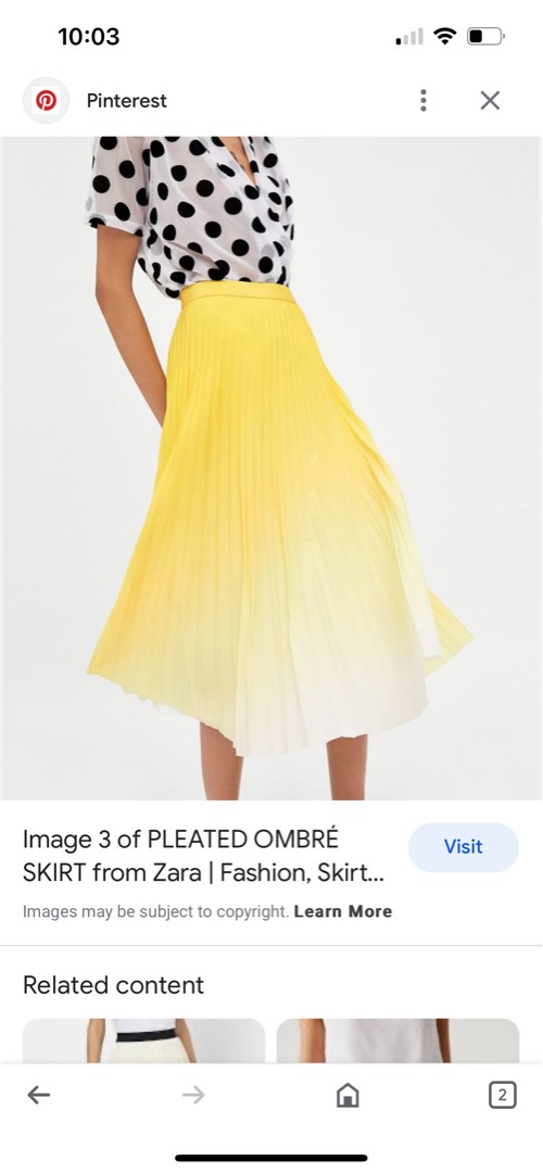 Zara Pleated Ombre Skirt