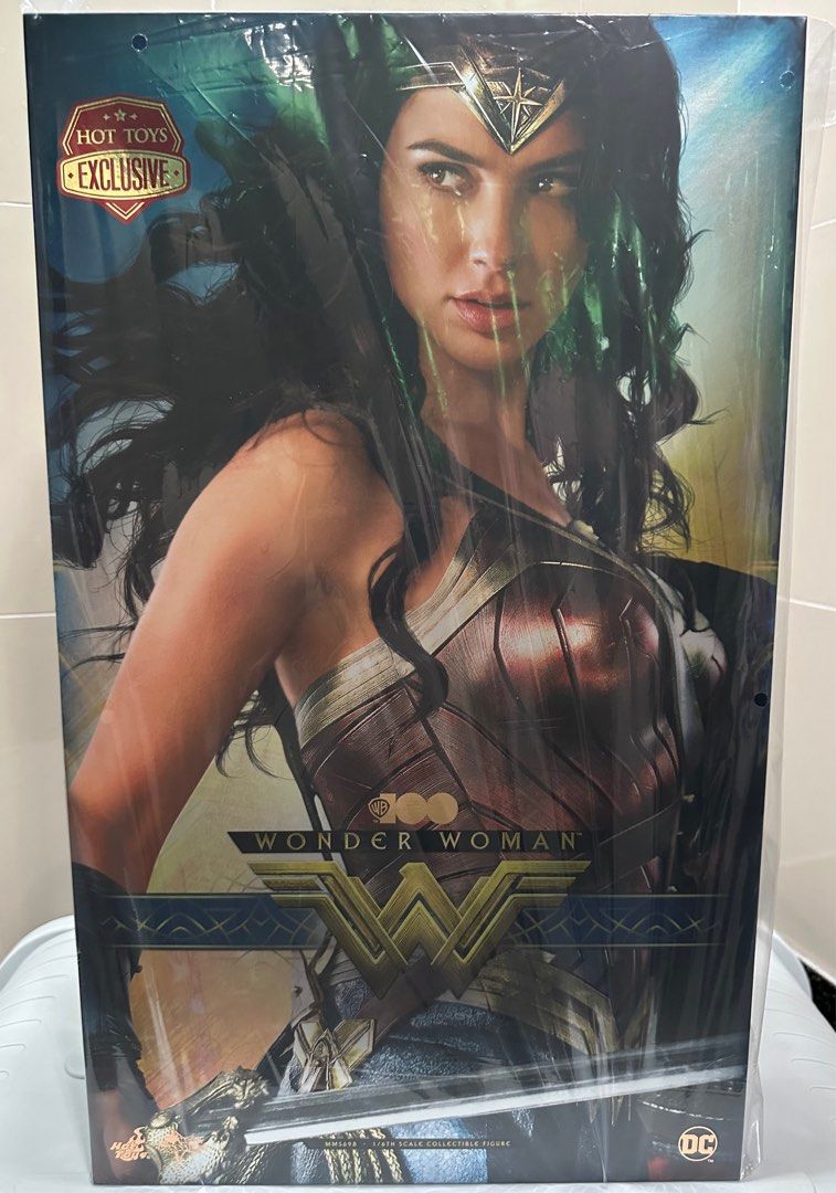 未使用品】ホットトイズ ワンダーウーマン ワーナー100周年 MMS698