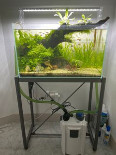 (Category: ) located in . Submitted by favs012 (Listing ID 1248196110, Image 1). Description: .