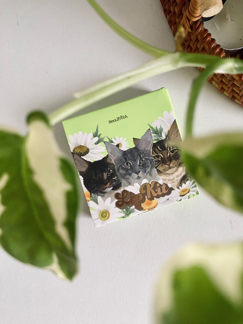 BeauTYRA Lip Kit Frisky, Beauty & Personal Care, Face, Makeup on Carousell