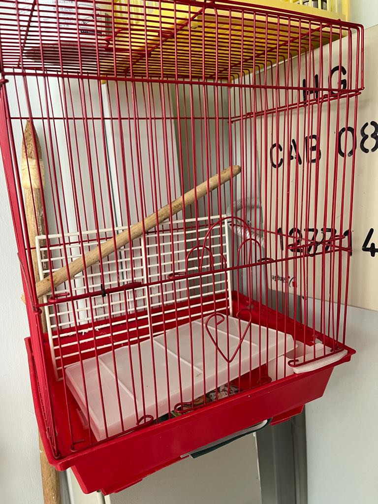 Bird cage, Pet Supplies, Homes & Other Pet Accessories on Carousell