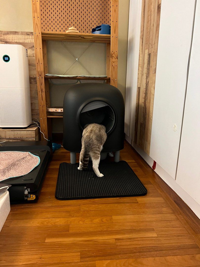 Black PETREE Automatic Cat Litter Box Gen 2, Pet Supplies, Homes