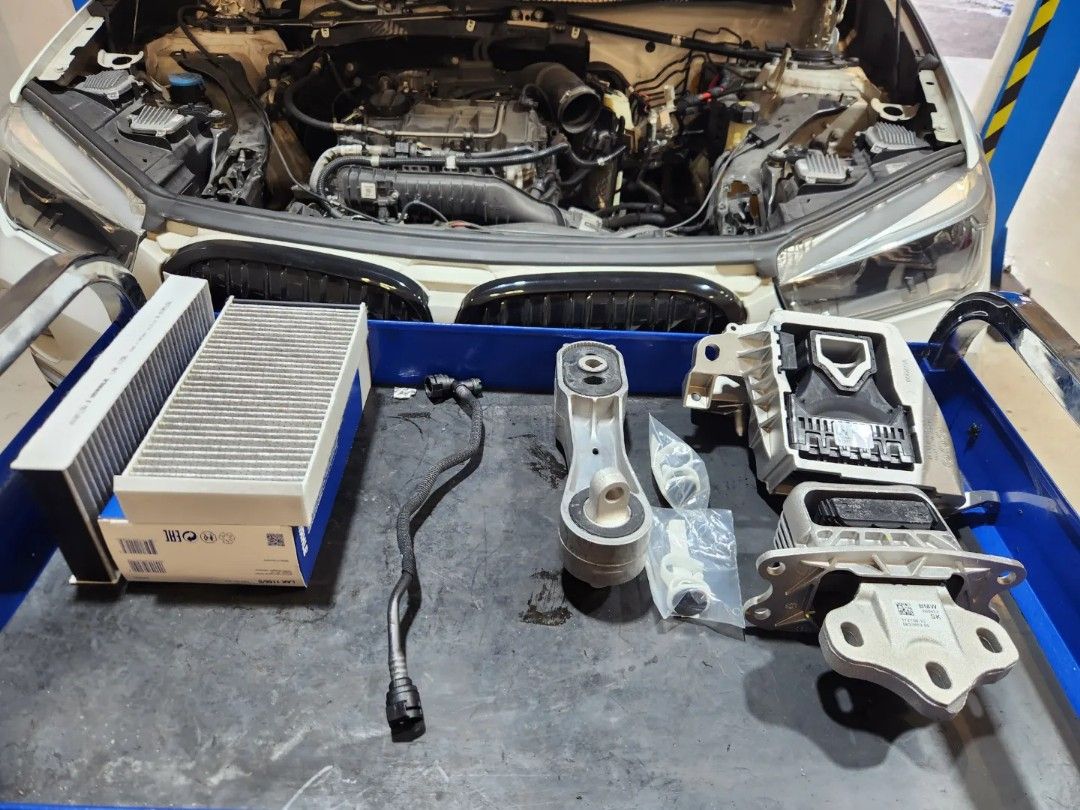 BMW F48 X1 Servicing Using Liqui Moly 5W40, Oil Filter, Change Original
