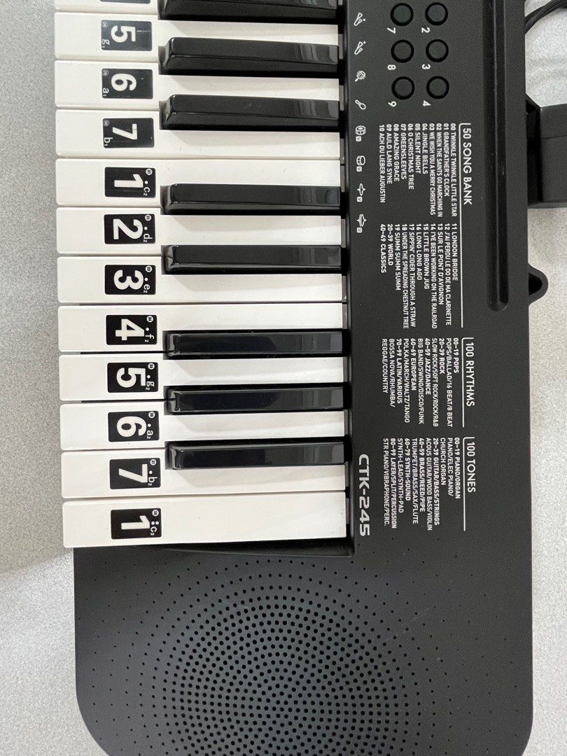 casio 245 keyboard
