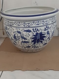 Guci