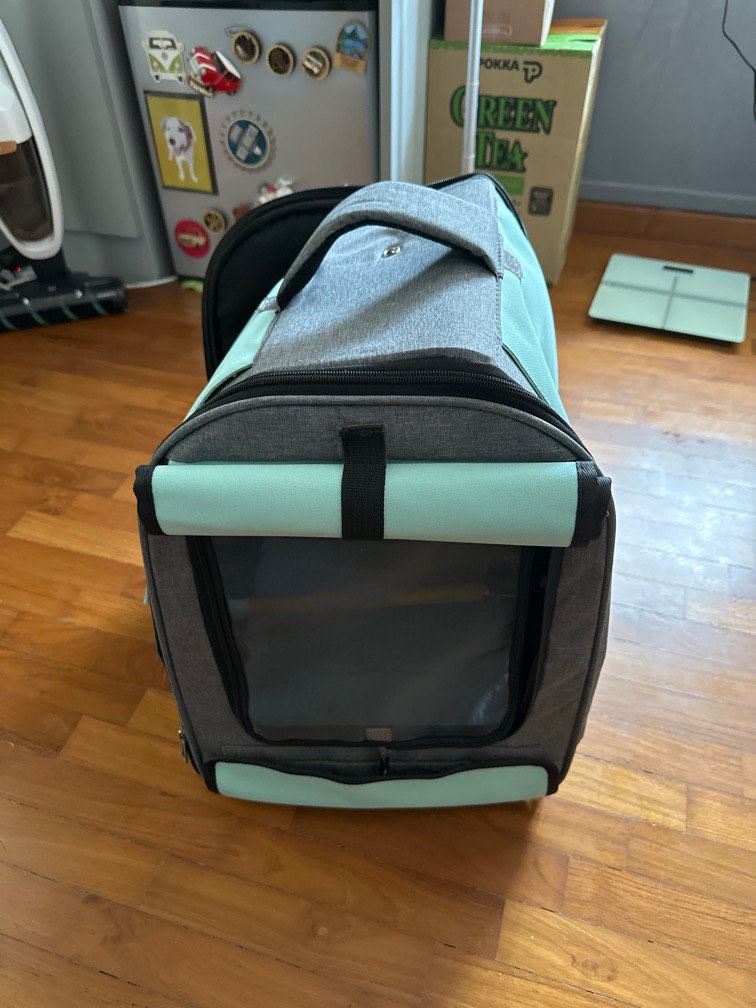 Pet Carrier bird carrier, Pet Supplies, Homes & Other Pet Accessories