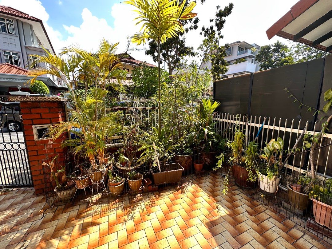 Pots, plants to give away first come first serve, Furniture & Home