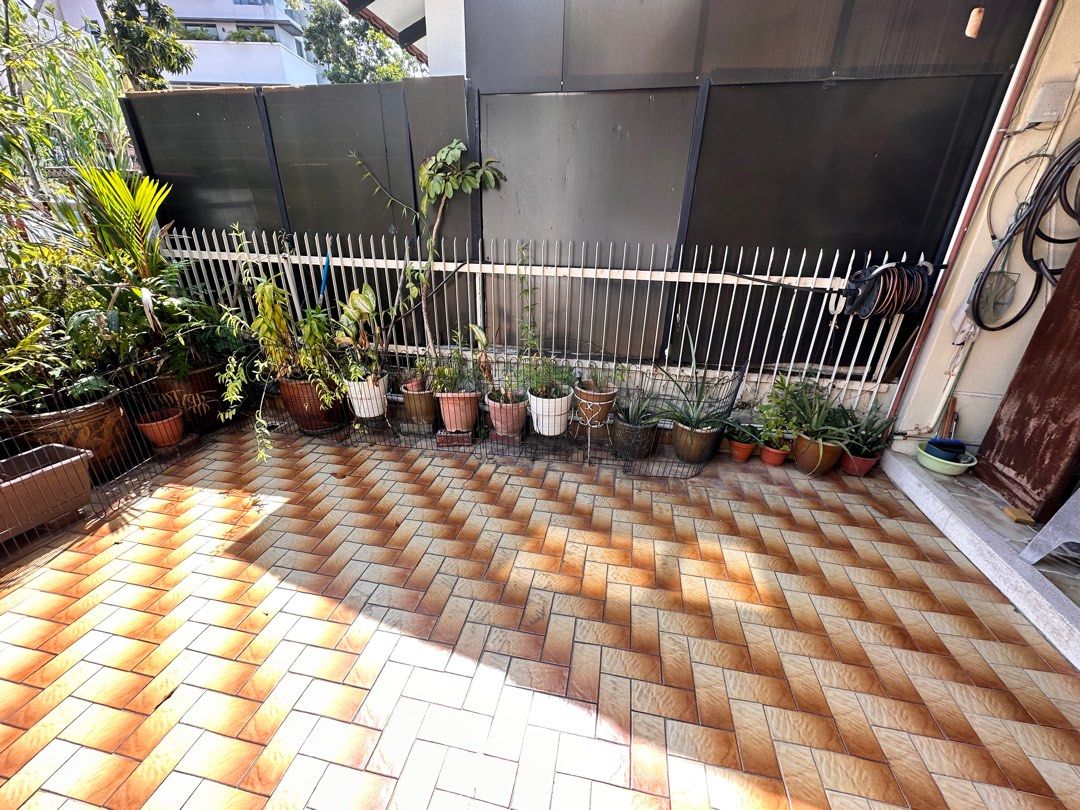 Pots, plants to give away first come first serve, Furniture & Home