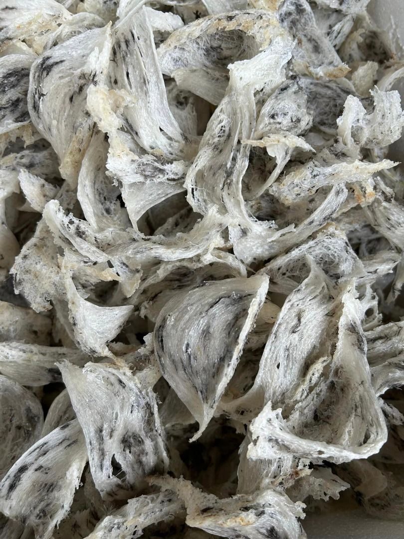 Premium Raw Bird Nest 100GM, Food & Drinks, Fresh Produce on Carousell