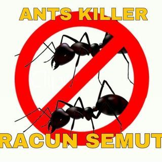 RACUN SEMUT LIPAS