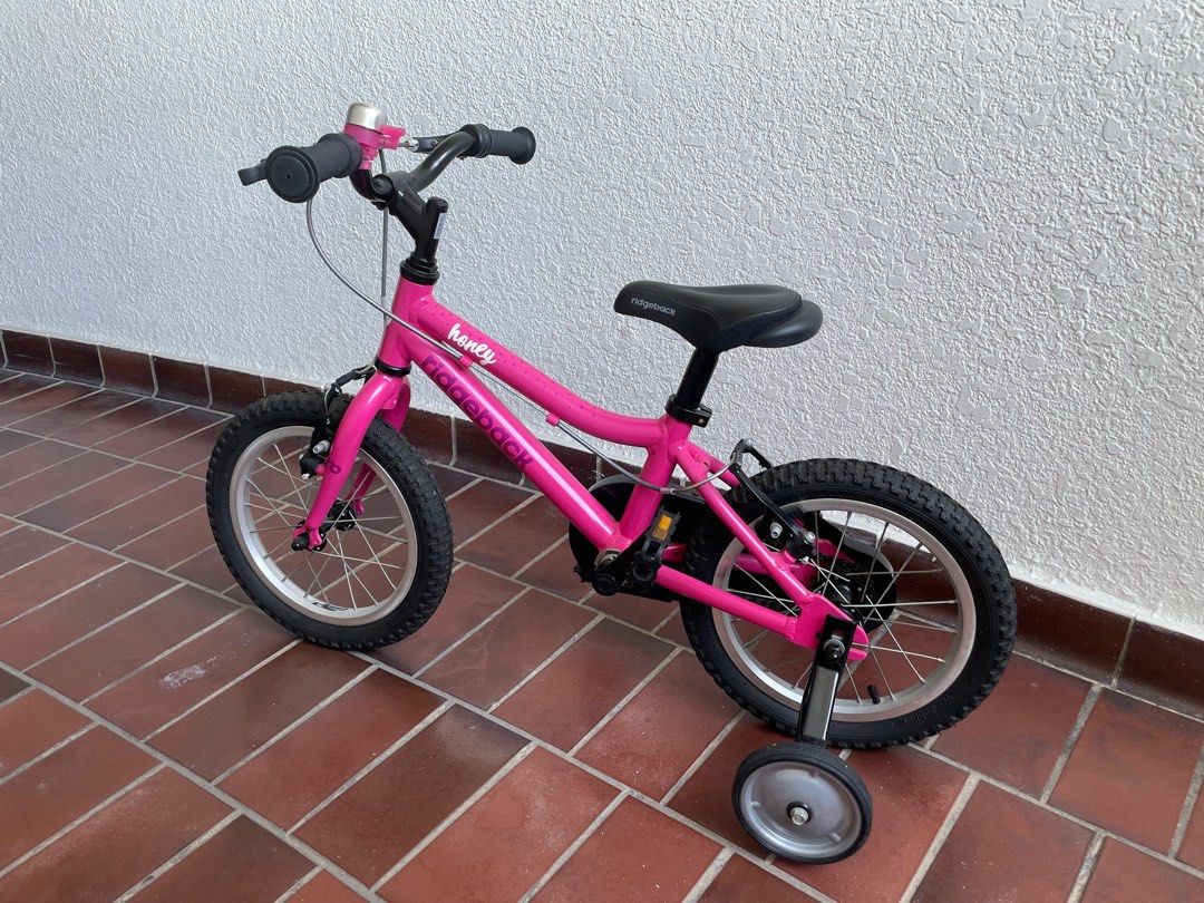Ridgeback melody 2025 14