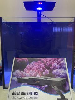 (Category: ) located in . Submitted by asferiking (Listing ID 1248099418, Image 1). Description: .