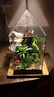 (Category: ) located in . Submitted by ougboy (Listing ID 1177973844, Image 1). Description: .