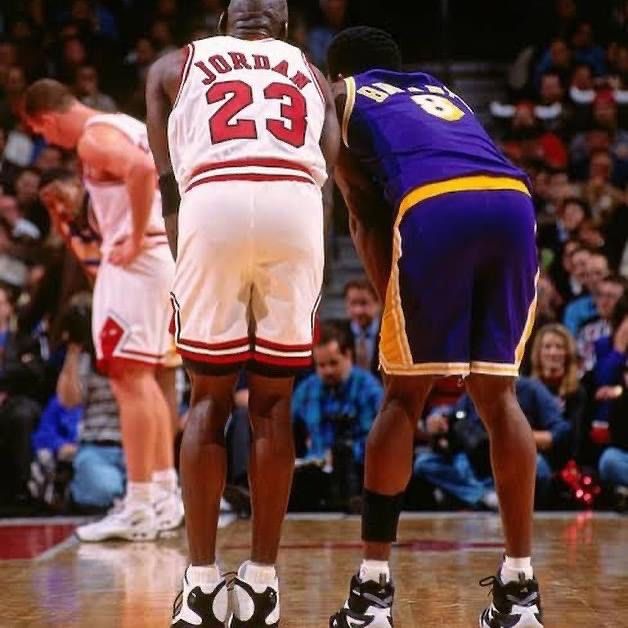 Lakers away shorts clearance