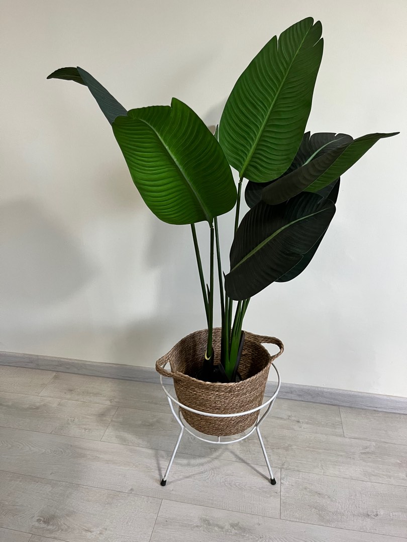 Organic Basket Vase