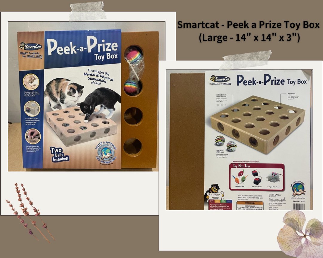 Smart cat peek and play hotsell toy box