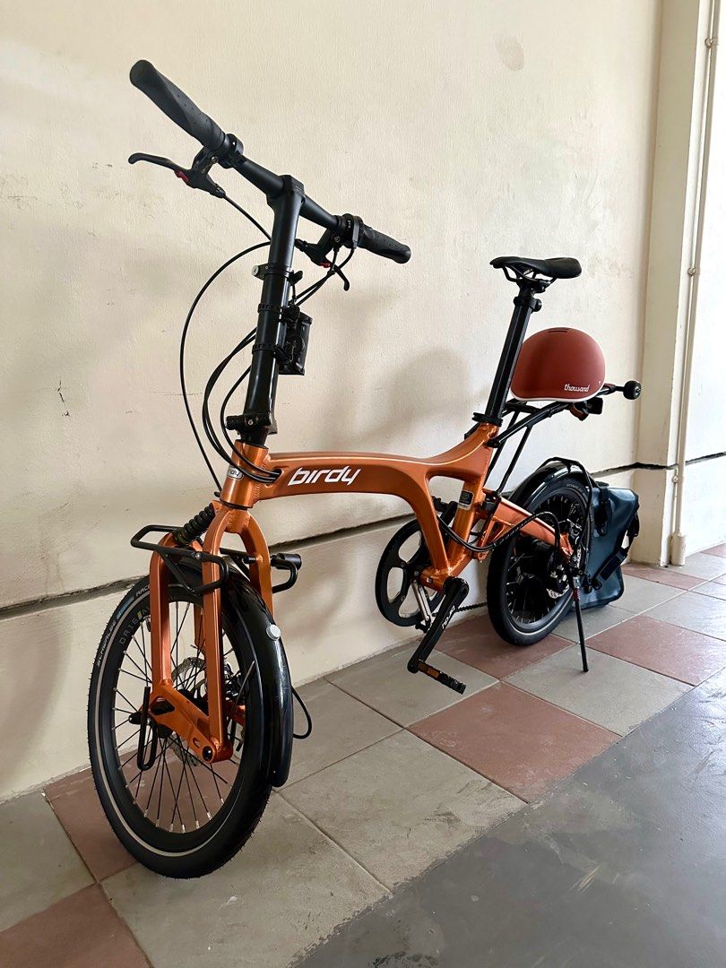 Birdy rohloff sales 2021