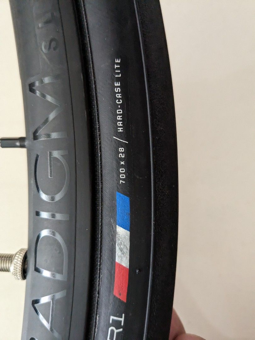bontrager paradigm