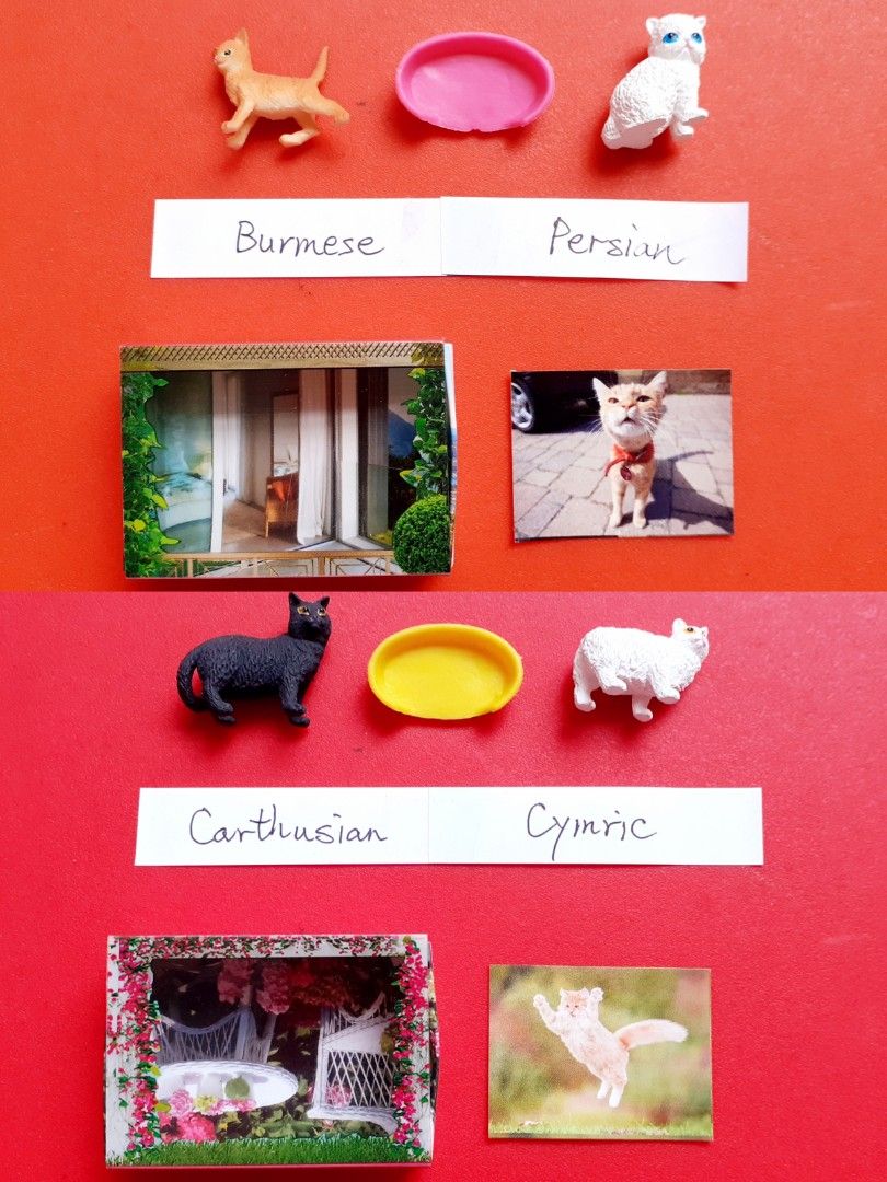 Breyer pocket 2025 box cats