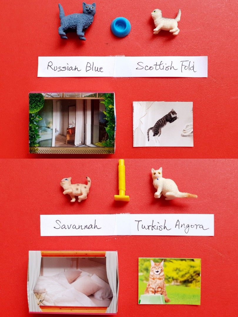 Breyer POCKET BOX 1 12 CATS 2 DOGS