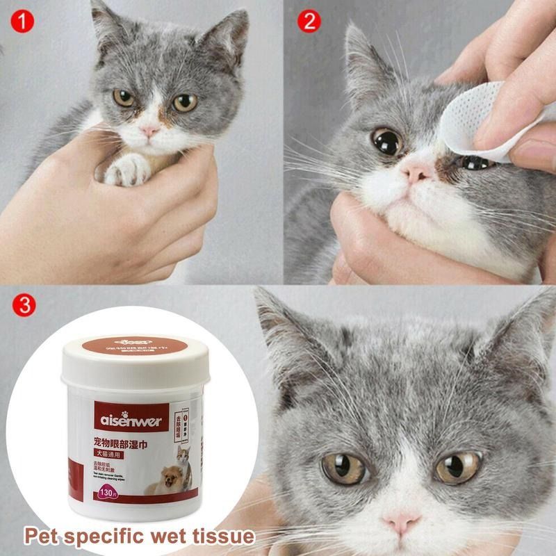 Kitten sales eye wipes