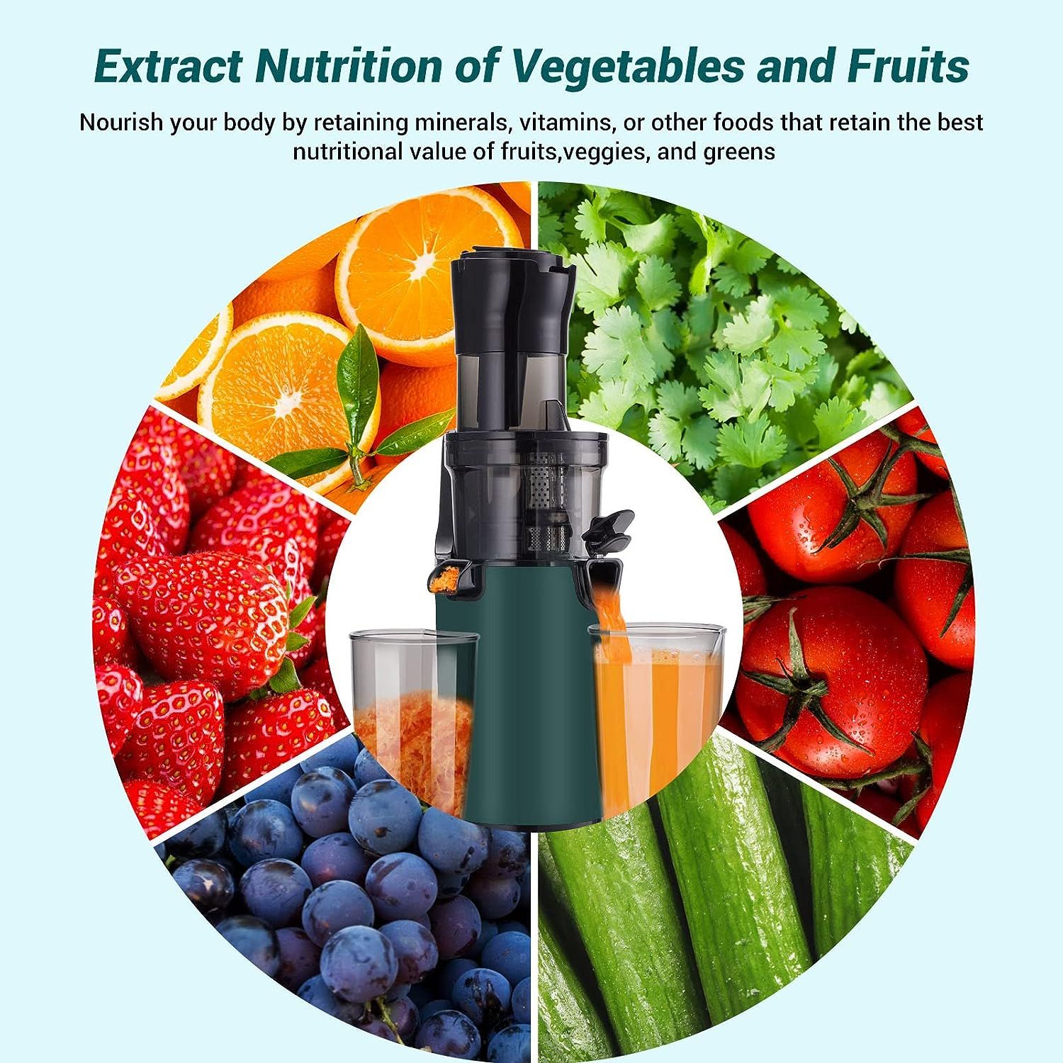 Electric juicer for fruits shop and vegetables