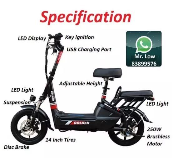 Golden Electric Scooter PMD UL2272 Sports Equipment PMDs E