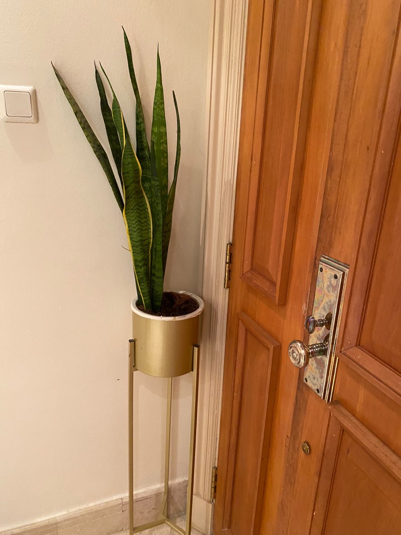 Flower vase with stand, Furniture & Home Living, Home Decor, Vases