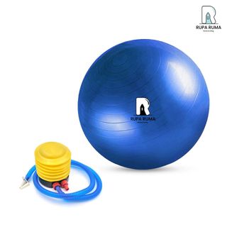 Harga gym ball di ace sales hardware