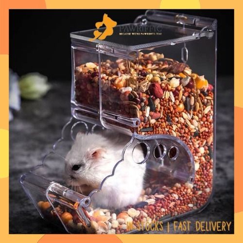 Automatic store rodent feeder