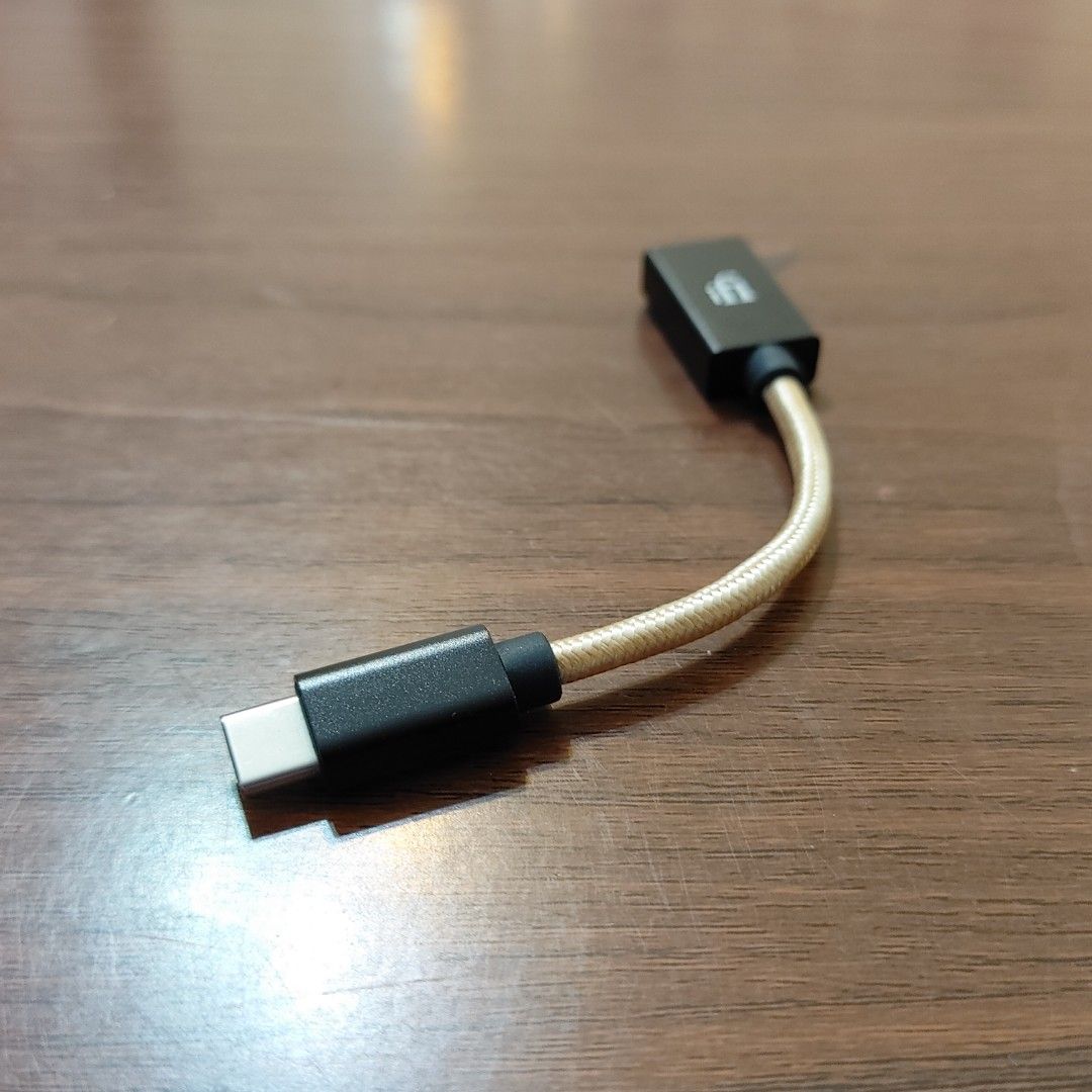 iFi Audio TypeC USB OTG Cable, Audio, Portable Audio Accessories on