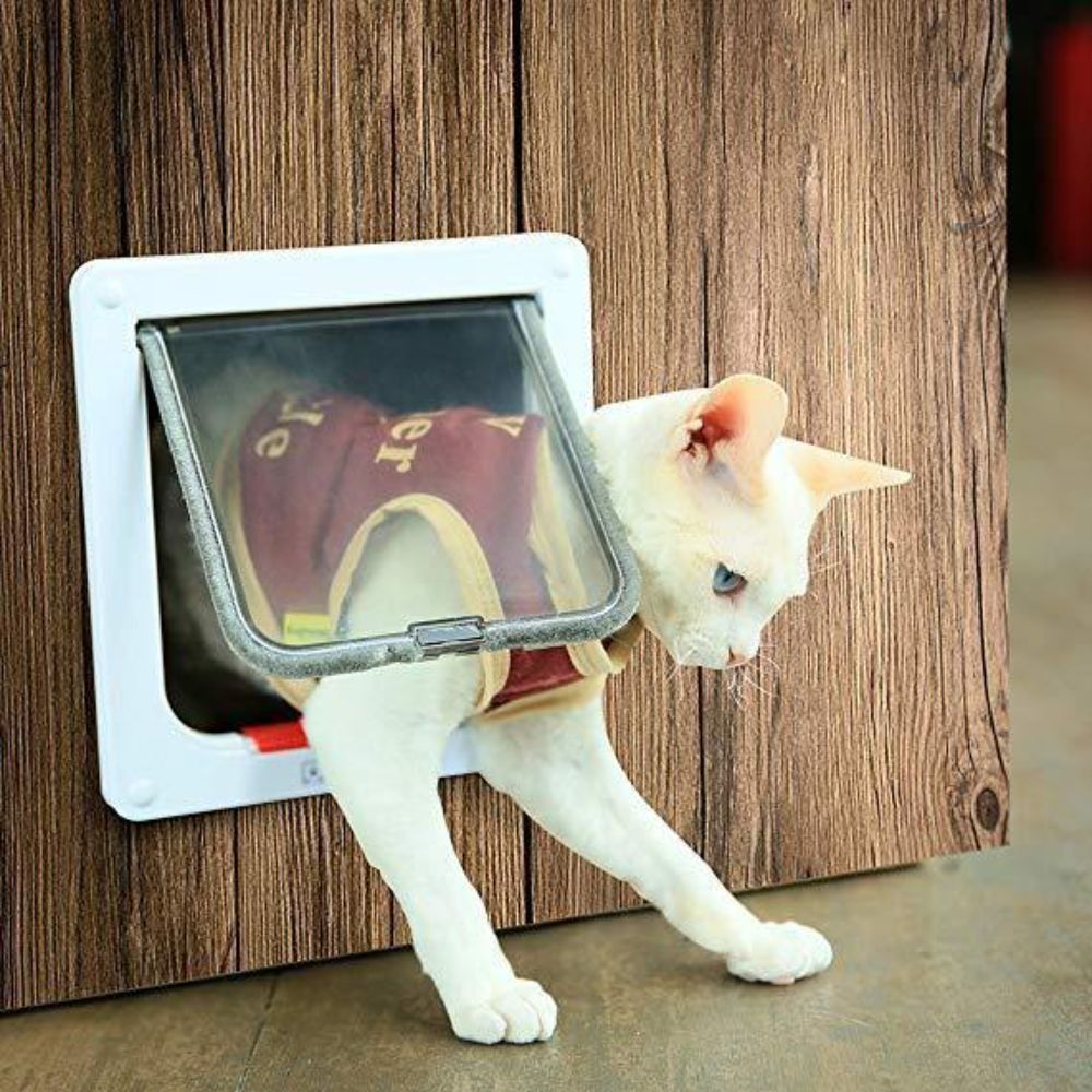 Pet Door 4 Way Lockable Dog Cat Kitten Door Security Flap Door Plastic S M L Animal Small Pet Cat Dog Gate Door Pet Pet Supplies Homes Other Pet Accessories on Carousell