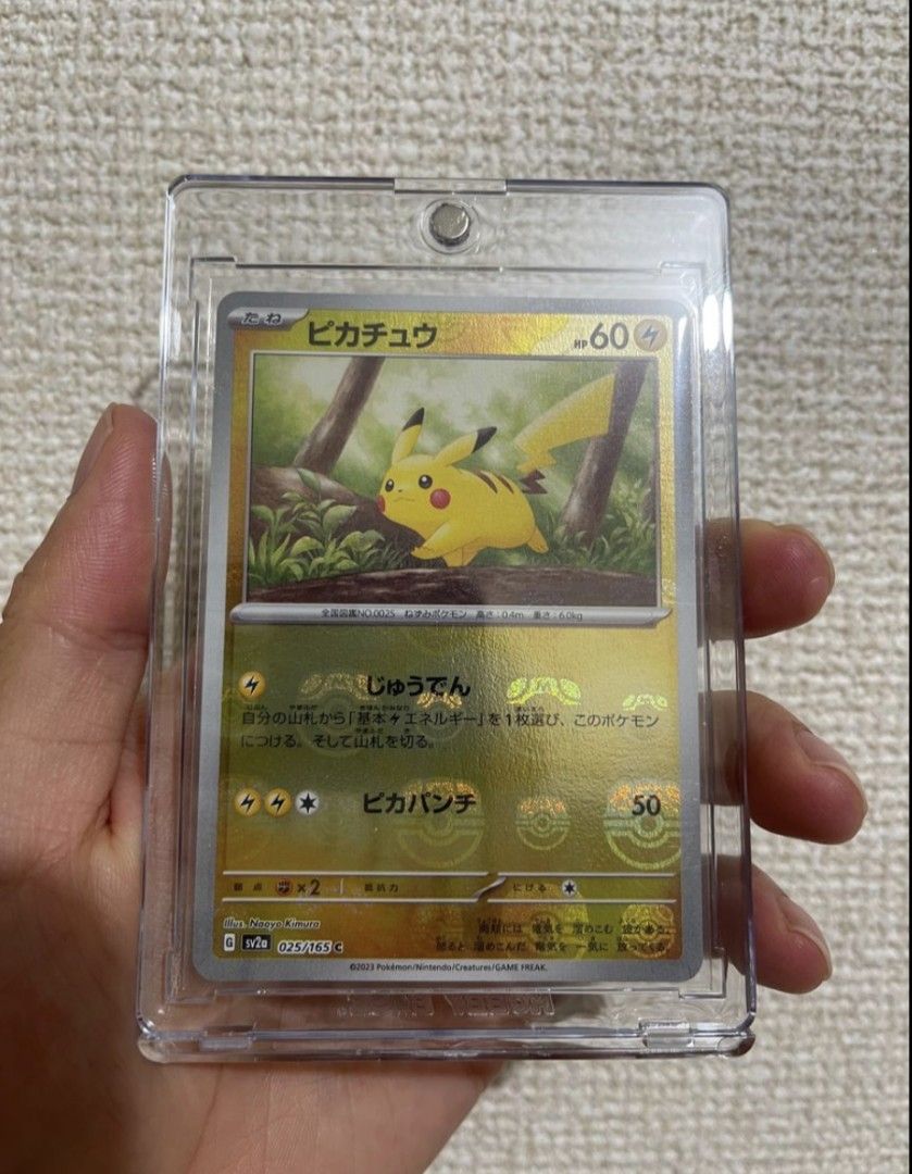 Pikachu Master Ball Holo, Hobbies & Toys, Toys & Games on Carousell
