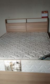 (Category: ) located in . Submitted by eliseaprapp (Listing ID 1248306239, Image 1). Description: .